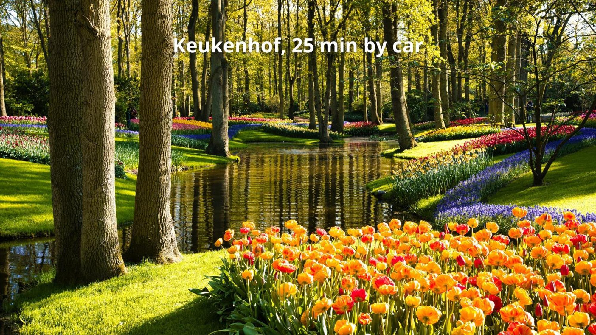 Hotel Boutique Herbergh Amsterdam Airport Free Parking 3*